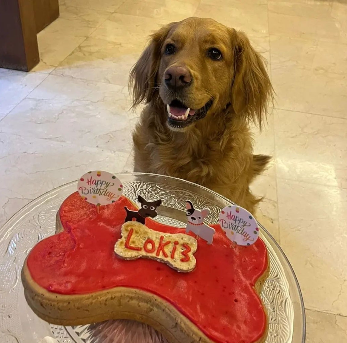BoneItUp® Dog Birthday Cake Kit