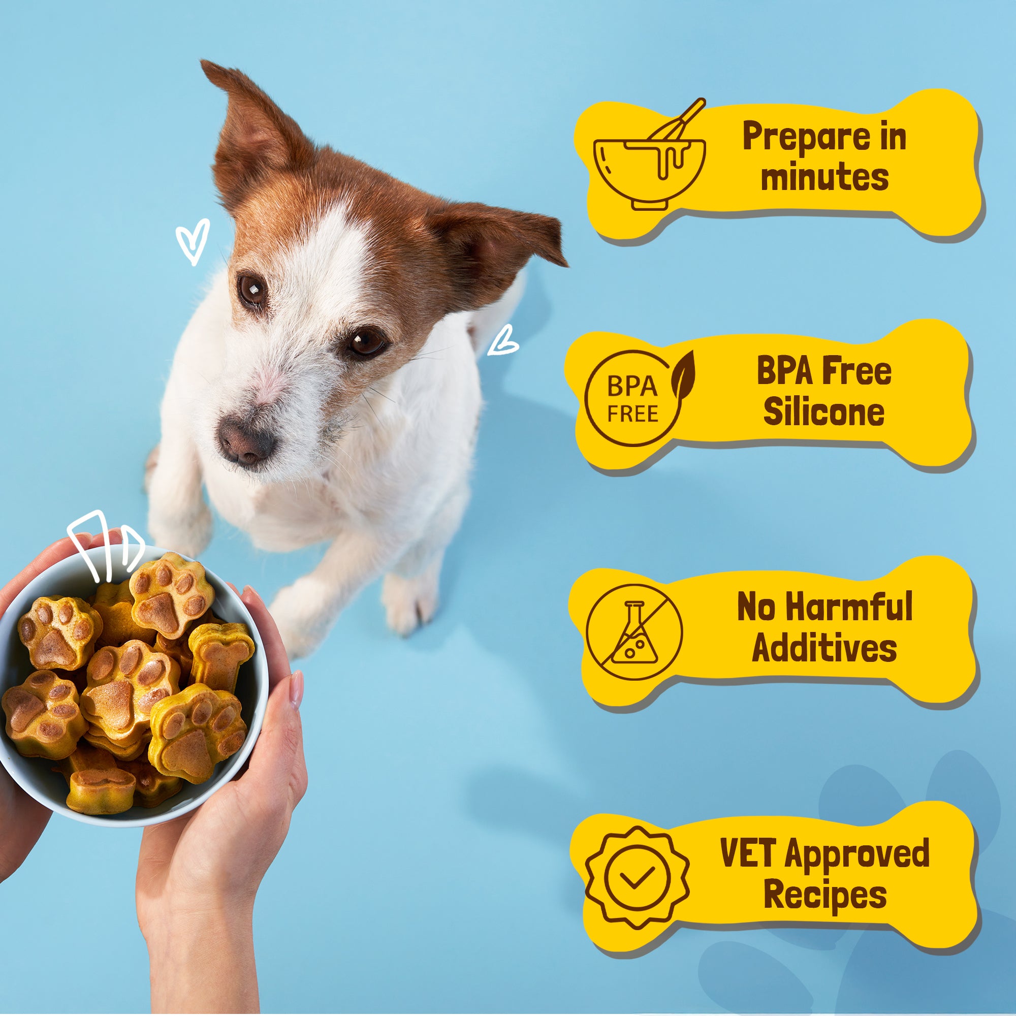 Personalized DIY Dog Treat Kit with Molds, Cutters, Recipes – Healthy Homemade Snacks for Pups & Pet Lovers