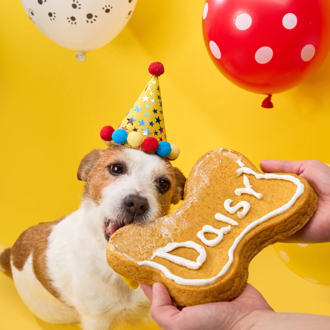 BoneItUp® Dog Birthday Cake Kit