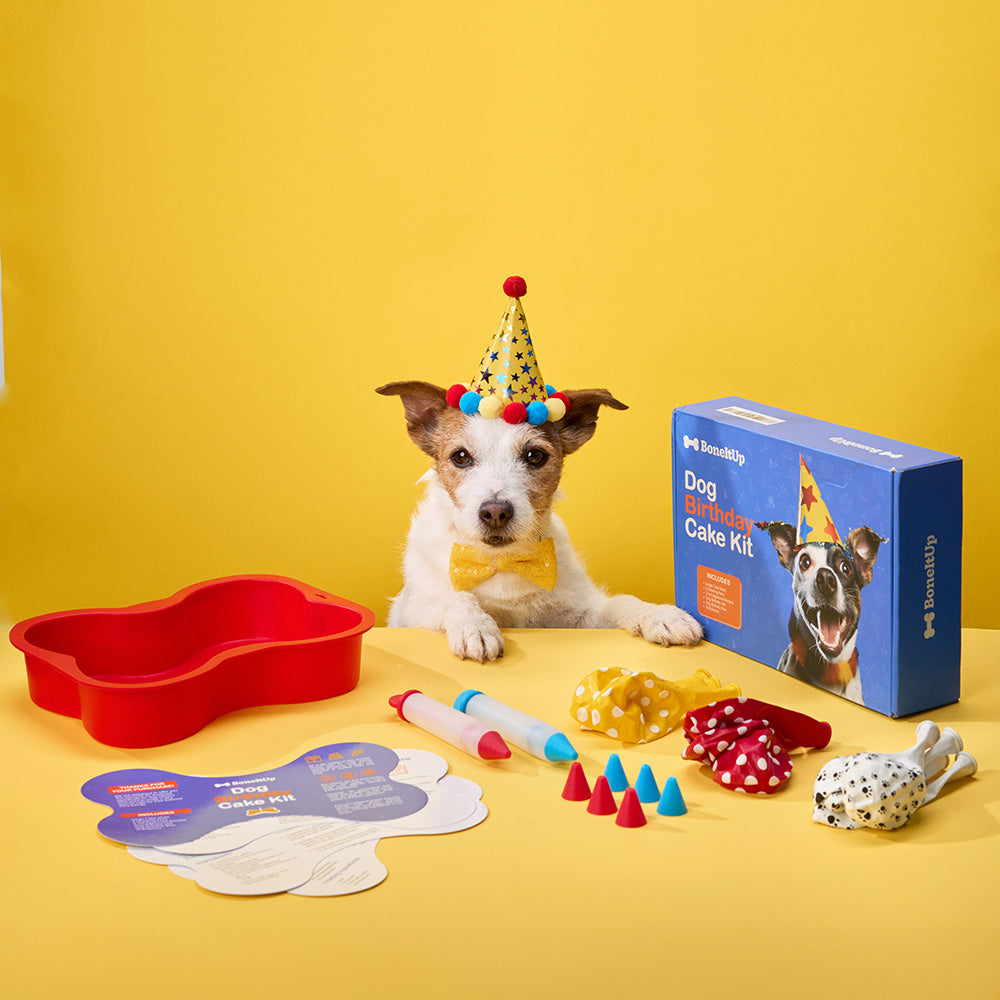 BoneItUp® Dog Birthday Cake Kit