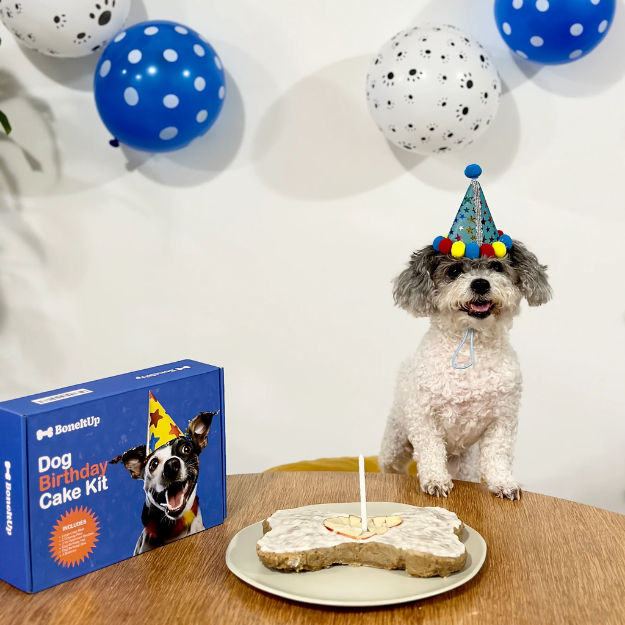 BoneItUp® Dog Birthday Cake Kit