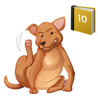 scratch.png