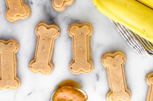 Homemade Pet Treats: A Scientific Approach to Healthy Rewards