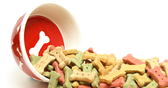 Nutritional Analysis: What Makes a Dog Treat Healthy?