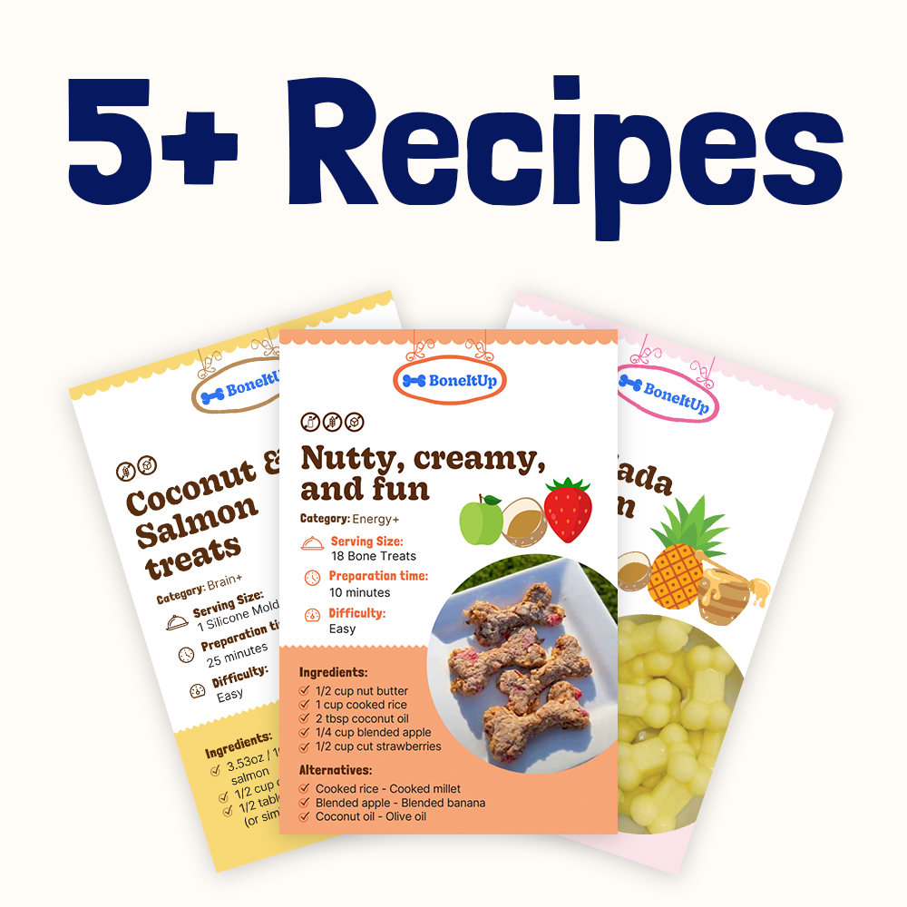 5+ Recipes 🎁