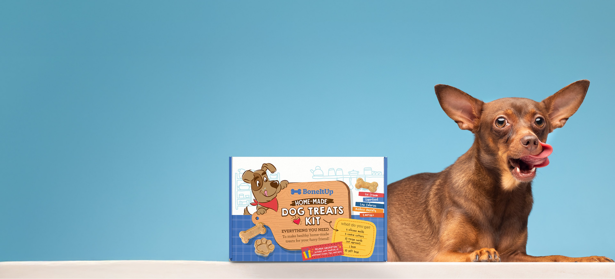 Dog being offered a treat