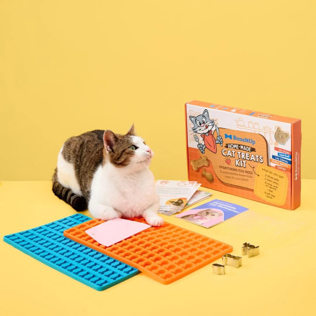 BoneItUp® Cat Edition Homemade Treats Kit