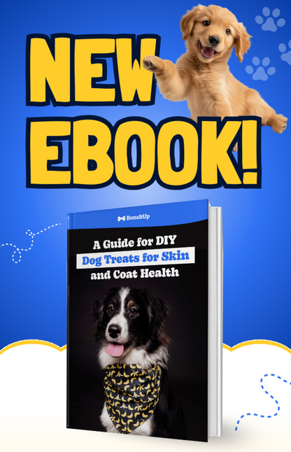 Exclusive Bites App (+Email)