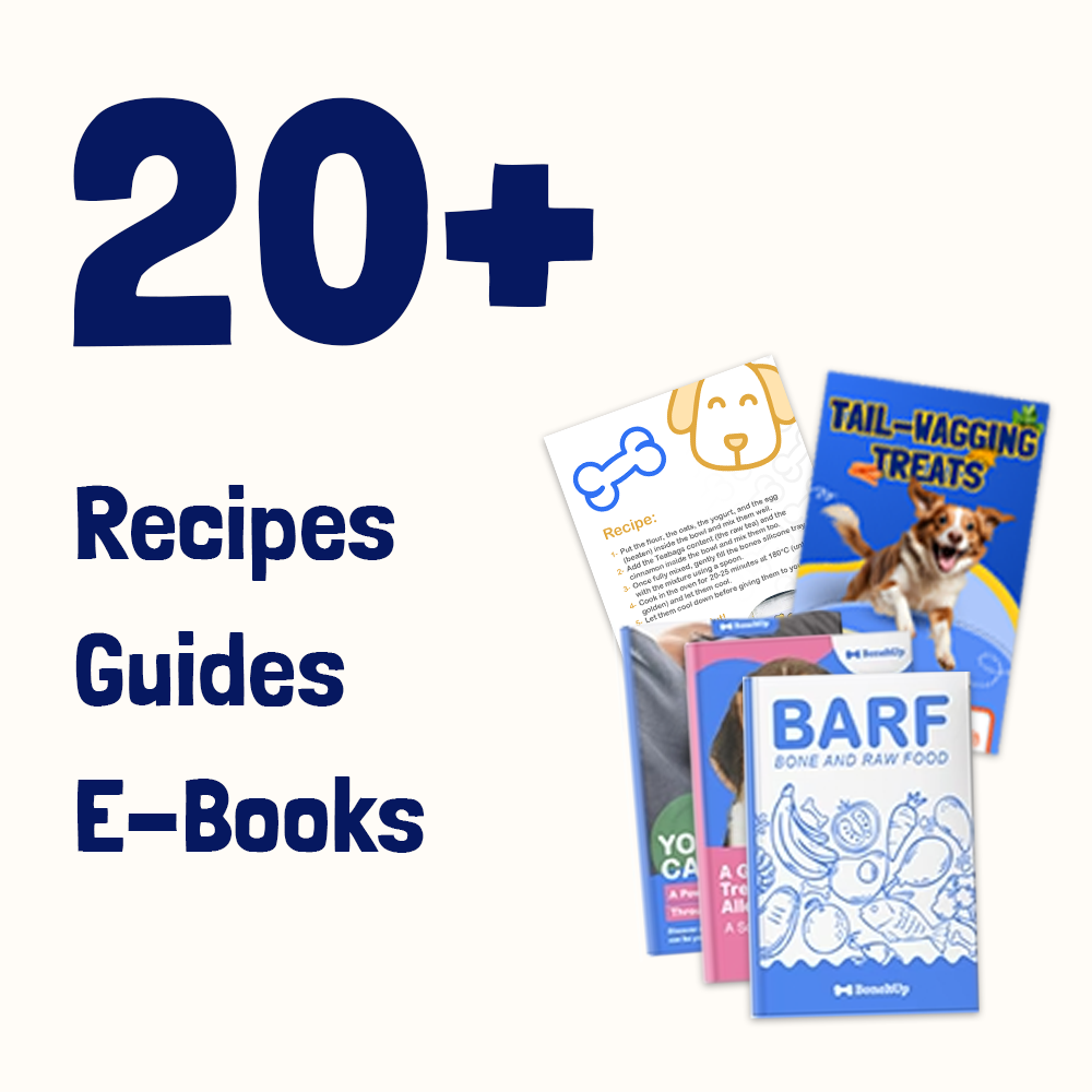 20+ Recipes Package